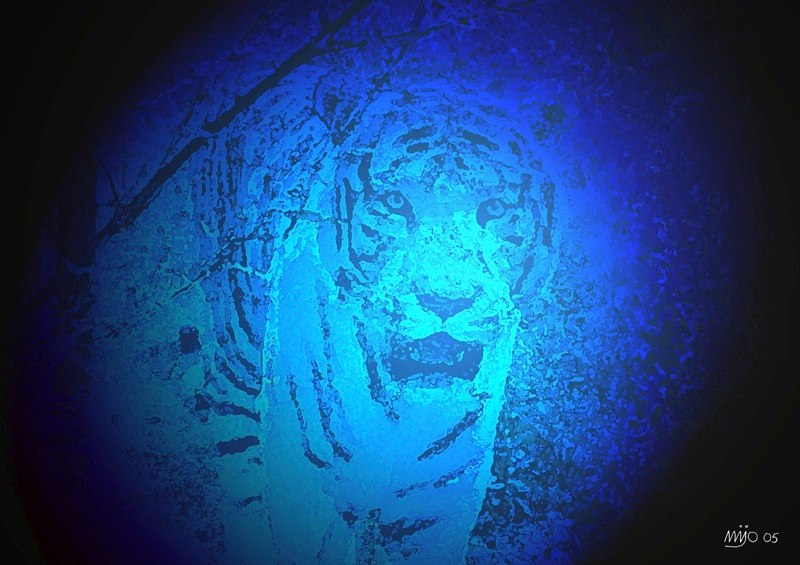 tigre-dans-la-nuit